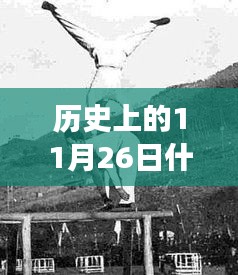 第2439页