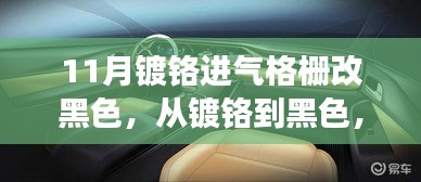 坌鸟先飞 第3页