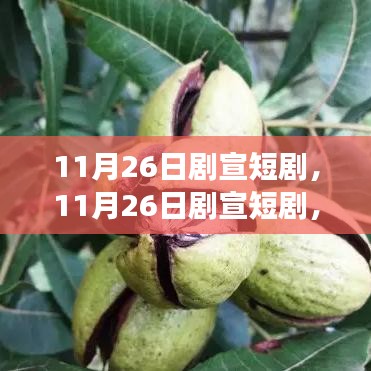 关于我们 第503页