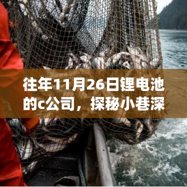 往年11月26日锂电池的c公司，探秘小巷深处的锂电池宝藏——c公司的非凡之旅