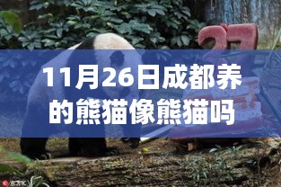 阿胶究竟有哪些功效 第503页