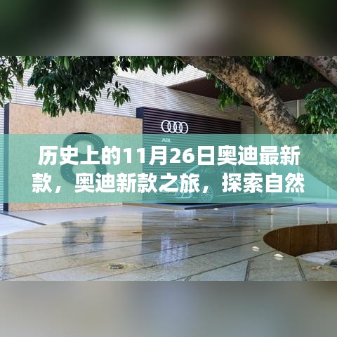 阿胶究竟有哪些功效 第498页