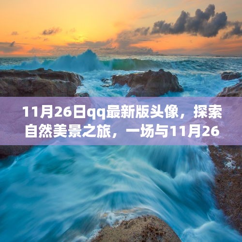 阿胶究竟有哪些功效 第496页