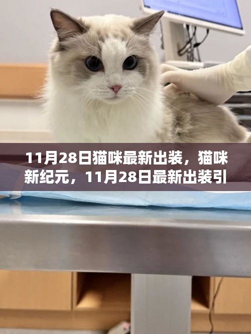 第2466页