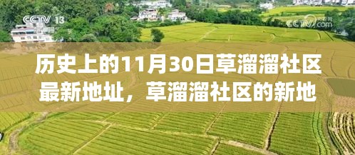 关于我们 第494页