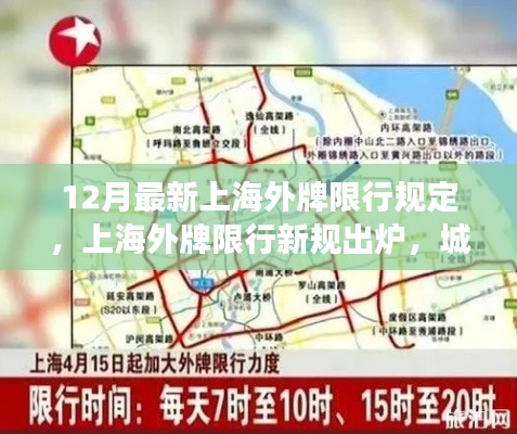 阿胶究竟有哪些功效 第502页