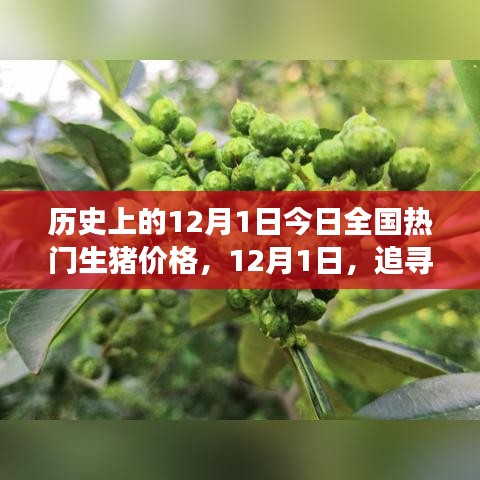 芒屩布衣 第4页