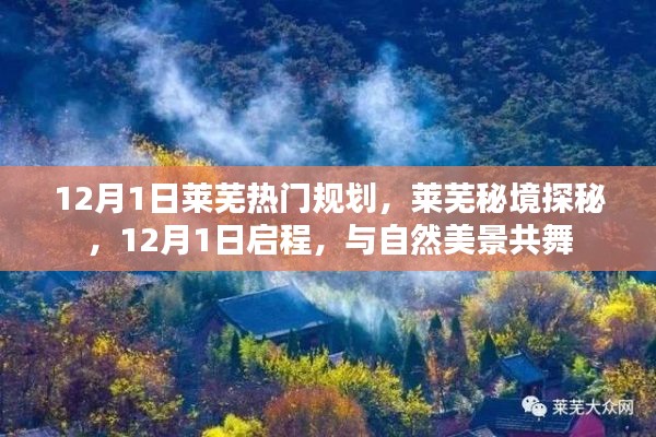 荣华富贵 第5页