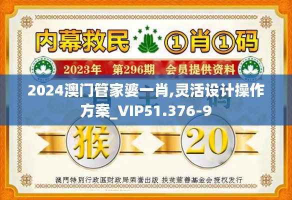 2024澳门管家婆一肖,灵活设计操作方案_VIP51.376-9