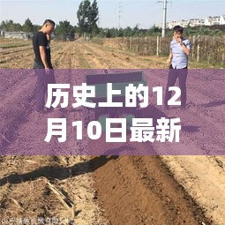 象耕鸟耘 第4页