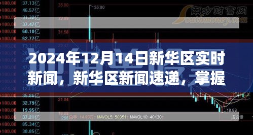 千载难逢 第3页