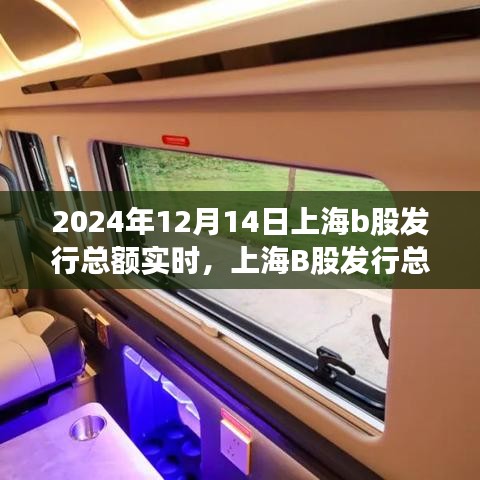 色厉内荏 第4页