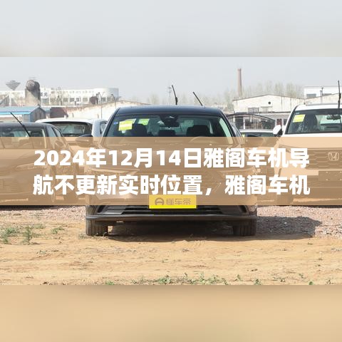 芒屩布衣 第3页