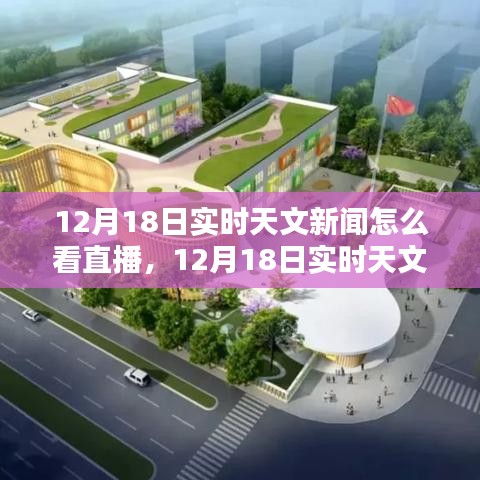 小鸟依人 第3页