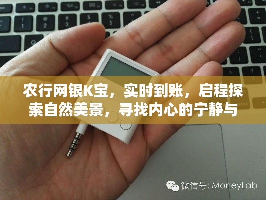 粗心大意 第3页