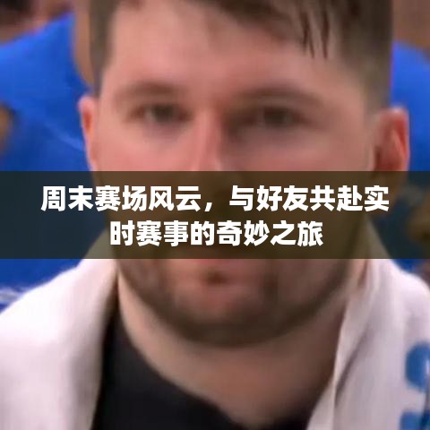 纲举目张 第3页