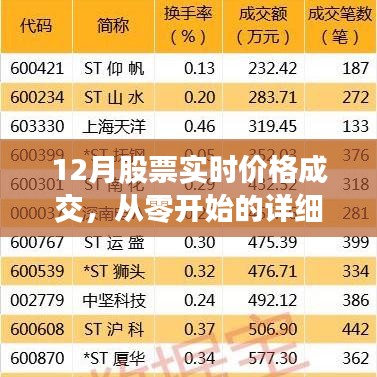 初学者与进阶用户必备