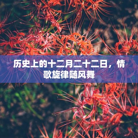 肝胆相照 第3页