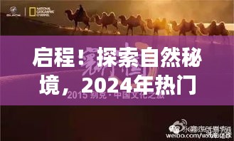 彬彬有礼 第2页
