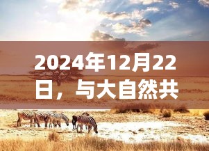心灵探寻之旅,与大自然共舞的日子心灵绿洲奇妙之旅(2024年12月22日)