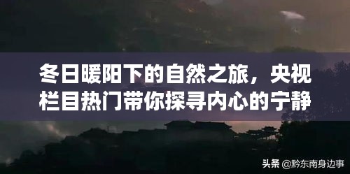 腾龙换鸟 第3页