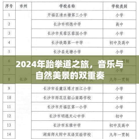 2024年跆拳道之旅，音乐与自然的和谐交响