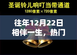 热门视频素材盘点与解析，相伴一生回顾与前瞻
