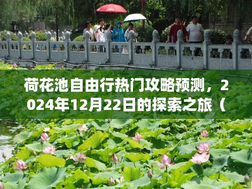 观点分享
