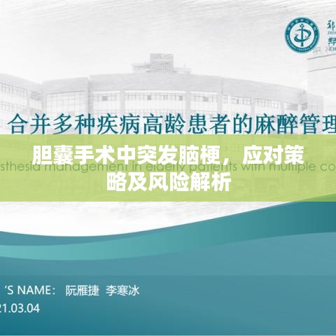 一石二鸟 第3页