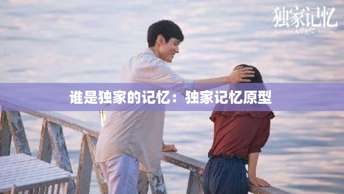 谁是独家的记忆：独家记忆原型 