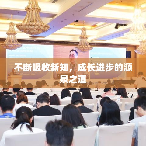 杳无音信 第3页