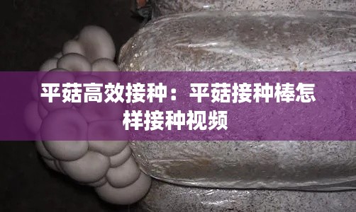 平菇高效接种：平菇接种棒怎样接种视频 
