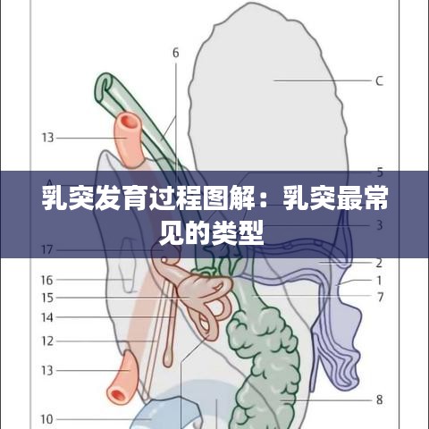 张灯结彩 第3页