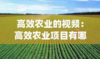 飞扬拨扈 第3页