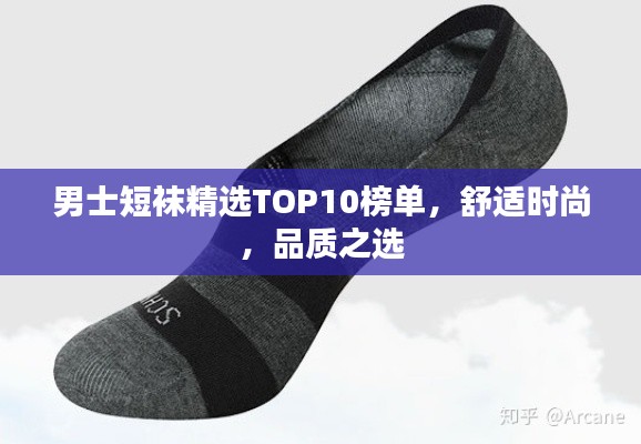 箭拔弩张 第3页