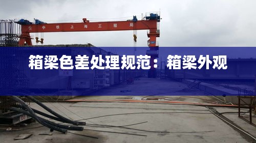箱梁色差处理规范：箱梁外观 