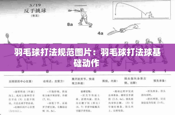 羽毛球打法规范图片：羽毛球打法球基础动作 