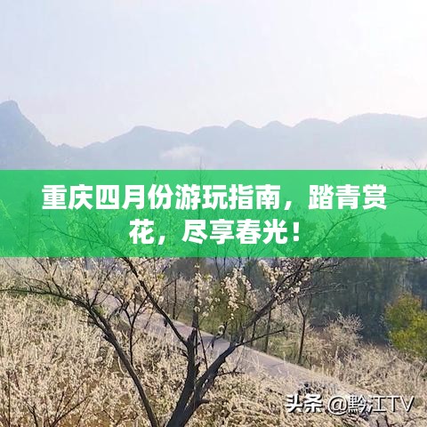 候鸟南飞 第2页