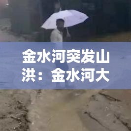 金水河突发山洪：金水河大桥在哪 