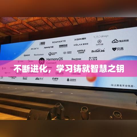 踊贵屦贱 第2页