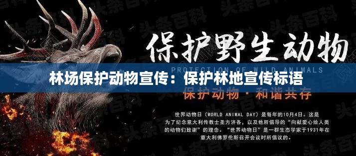 林场保护动物宣传：保护林地宣传标语 