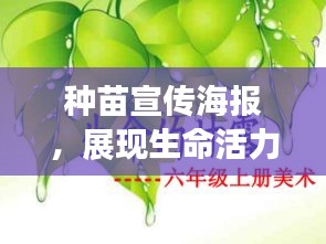 种苗宣传海报，展现生命活力与未来希望的视觉盛宴