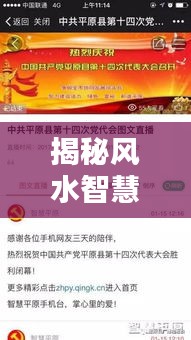 张王李赵 第3页