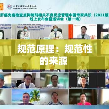 关于我们 第247页
