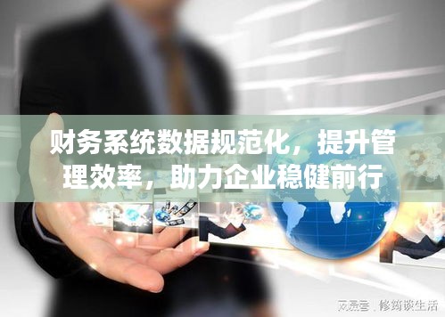 财务系统数据规范化，提升管理效率，助力企业稳健前行