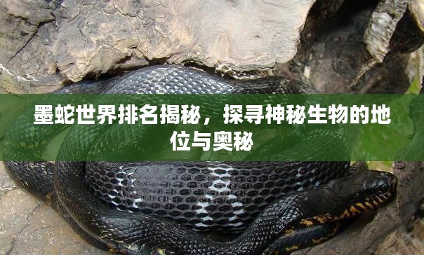 芳兰竟体 第3页