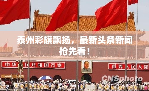 泰州彩旗飘扬，最新头条新闻抢先看！