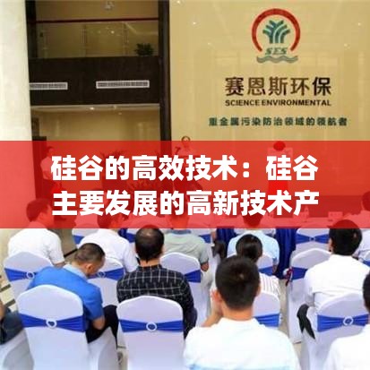 硅谷的高效技术：硅谷主要发展的高新技术产业 