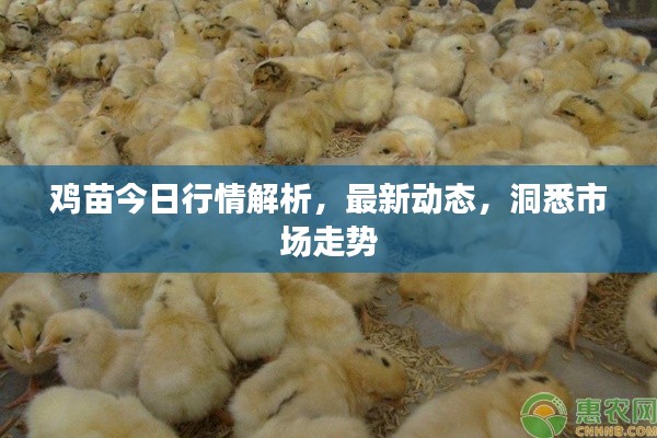 羽扇纶巾 第2页