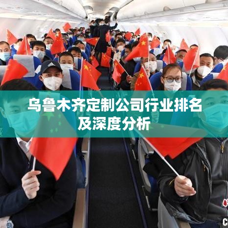 乌鲁木齐定制公司行业排名及深度分析